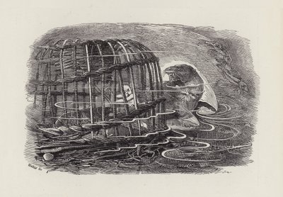 Ilustración para Los Niños del Agua de Charles Kingsley de Edward Linley (after) Sambourne