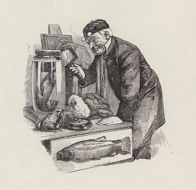 Ilustración de Los niños del agua de Charles Kingsley de Edward Linley (after) Sambourne