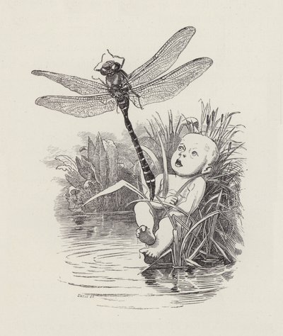 Ilustración de Los niños del agua de Charles Kingsley de Edward Linley (after) Sambourne