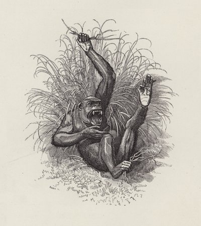 Ilustración para Los niños del agua de Charles Kingsley de Edward Linley (after) Sambourne