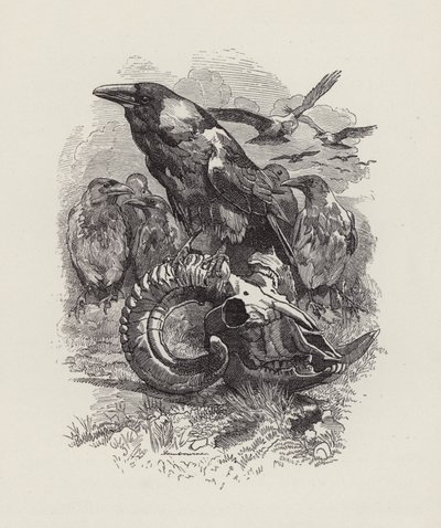 Ilustración para Los niños del agua de Charles Kingsley de Edward Linley (after) Sambourne