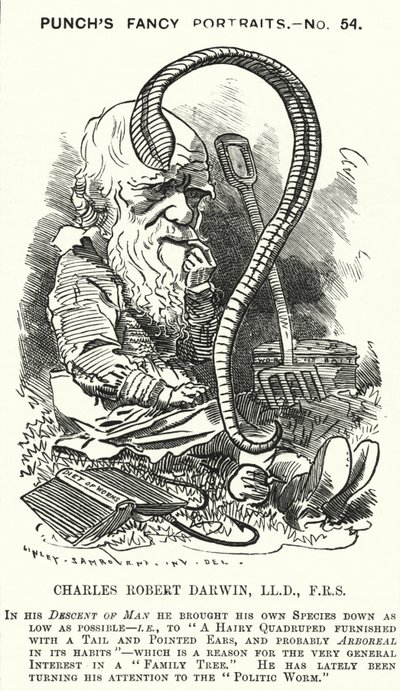 Caricatura de Punch: Charles Darwin, naturalista y biólogo inglés (grabado) de Edward Linley (after) Sambourne