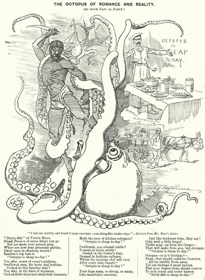 Caricatura de Punch: El pulpo del romance y la realidad (grabado) de Edward Linley (after) Sambourne