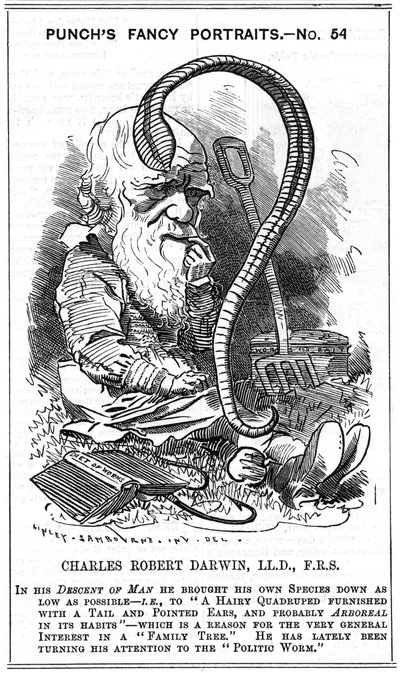 Charles Darwin (1809-1882) naturalista inglés. Evolución por selección natural. Caricatura de Edward Linley Sambourne (1844-1910) en la serie Fancy Portrait en Punch, Londres 1881, el año en que Darwin publicó La formación del moho vegetal a través de la a de Edward Linley Sambourne