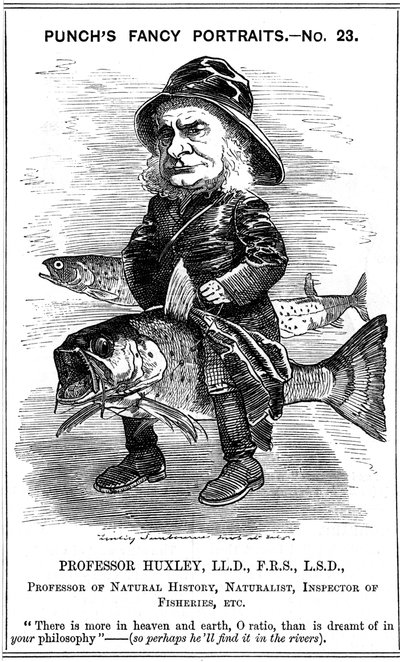 Thomas Henry Huxley, biólogo inglés, 1881 de Edward Linley Sambourne