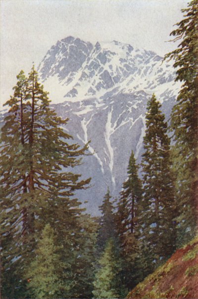 Kotwal desde el bosque sobre Kangan, Valle de Sind de Edward Mary Joseph Molyneux