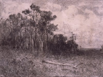 Paisaje, Escena de bosque de Edward Mitchell Bannister