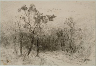 Paisaje con camino (#51), c. 1880 (carboncillo sobre papel) de Edward Mitchell Bannister