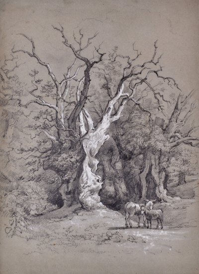 Paisaje con árbol de Edward Pretty
