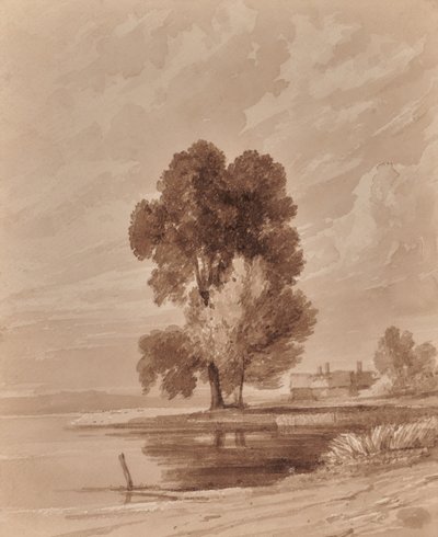 Paisaje con árboles de Edward Pretty