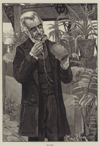 Su hobby de Edward R. King