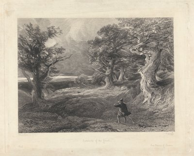 Las afueras del bosque de Edward Radclyffe