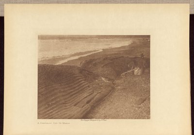 Una ballena parcialmente despiezada de Edward S. Curtis