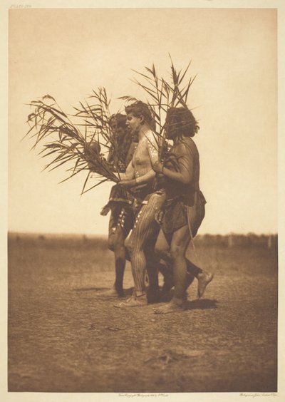 Ceremonia de medicina Arikara - los patos de Edward S. Curtis
