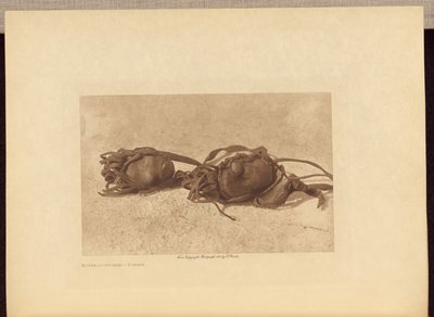 Búfalos - Piegan de Edward S. Curtis