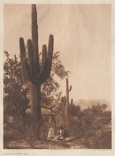 Cartera II, Placas 40-75 de Edward S. Curtis