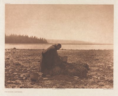 Portfolio IX, Plate 313: The Mussel Gatherer de Edward S. Curtis