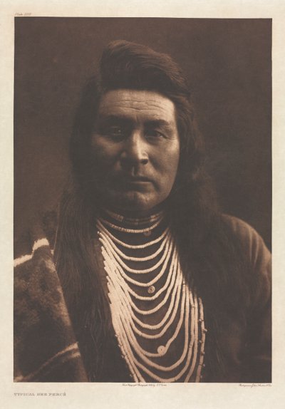 Portfolio VIII, Plate 258: Typical Nez Percé de Edward S. Curtis