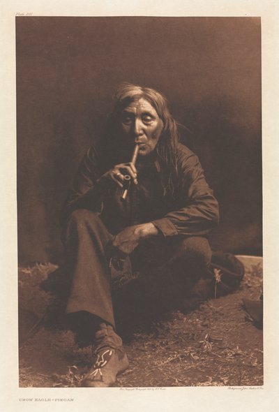 Portfolio VI, Plate 201: Crow Eagle--Piegan de Edward S. Curtis
