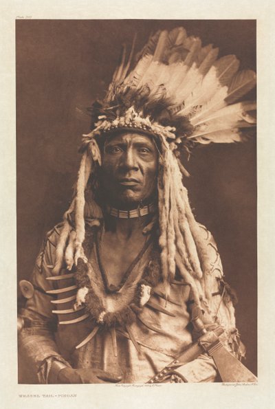 Portfolio VI, Plate 203: Weasel Tail - Piegan de Edward S. Curtis