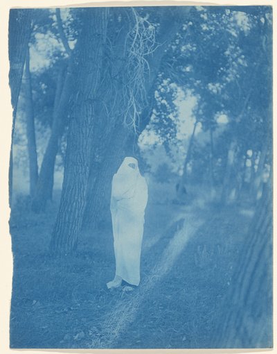  de Edward S. Curtis