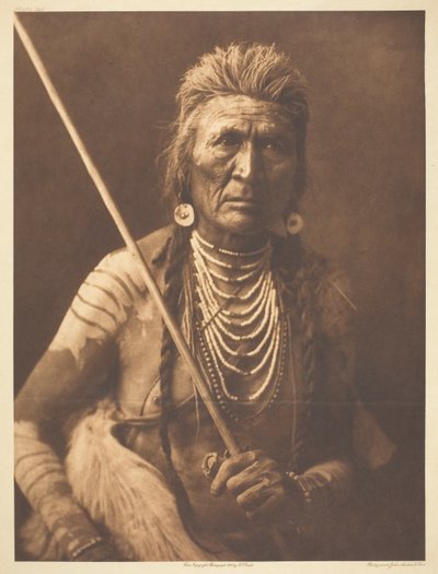 Lobo - Apsaroke de Edward S. Curtis