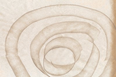 Curvas orgánicas fluidas de Edward Selkirk