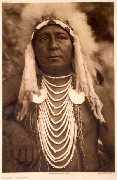 Upshaw de la tribu Apsaroke de Edward Sheriff (after) Curtis
