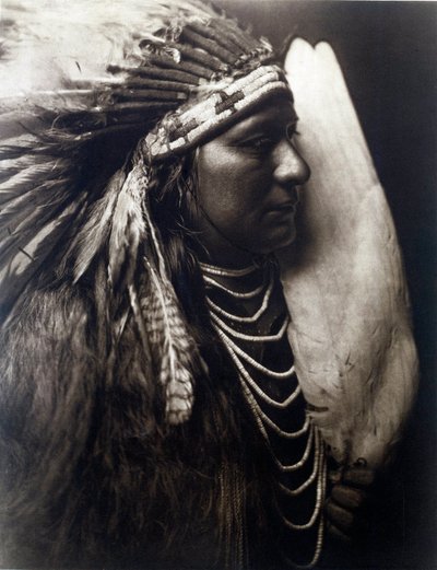 Indios americanos: Retrato de un indio de la tribu Perce Nose de Edward Sheriff Curtis