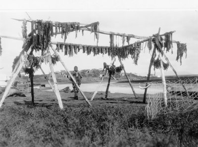 Un esquimal de pie bajo una estructura con carne de ballena colgada para secar, c.1929 (foto b/n) de Edward Sheriff Curtis