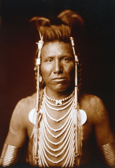 Ben Oreja Larga de Edward Sheriff Curtis