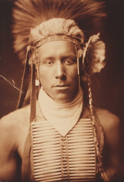Pequeña luz del día de Edward Sheriff Curtis