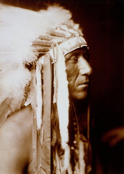 Pretty Paint de Edward S. Curtis de Edward Sheriff Curtis
