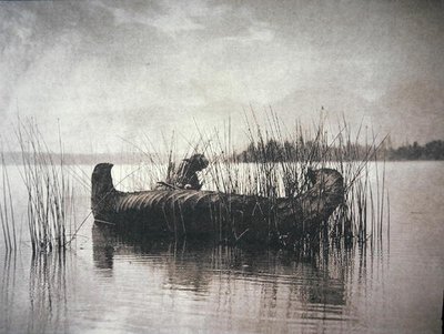 The Rush Gatherer, Montana (foto en blanco y negro) de Edward Sheriff Curtis