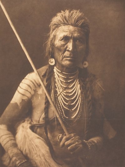 Lobo - Apsaroke, 1908 de Edward Sheriff Curtis