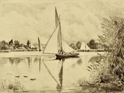 El Bure: En Wroxham Road, c.1880 (grabado) de Edward Slocombe
