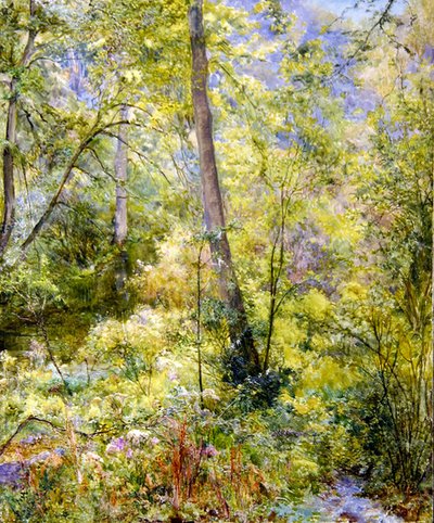 Luz solar moteada, bosque de Sheepscombe de Edward Steel Harper