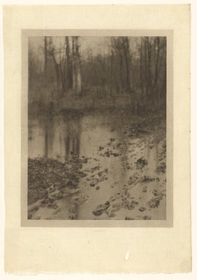 La piscina de Edward Steichen