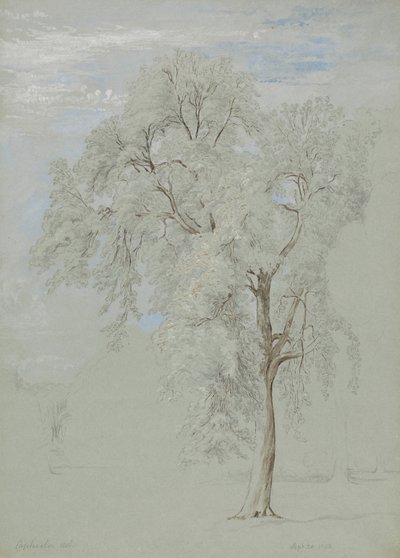 Fresno de Edward Swinburne