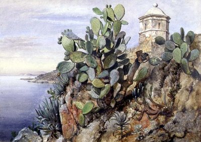 Cactus Opuntia, Mónaco de Edward William Cooke