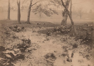 Paisaje primaveral, década de 1890 (foto) de Edward Willis Redfield