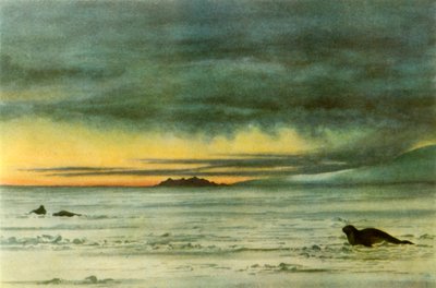 Mirando al Norte en McMurdo Sound de Edward Wilson