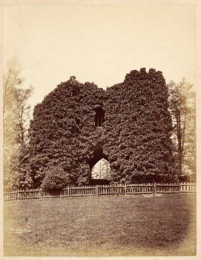 Vista de una locura en Roundhay Park de Edward Wormald