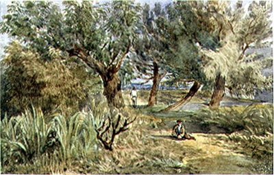 Campos de Battersea de Edward attr. to Bragg