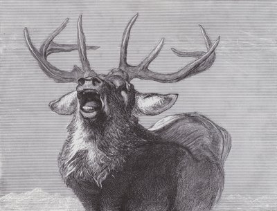 Un Desafío de Edwin (after) Landseer