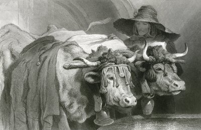 Bueyes en el tanque, Ginebra de Edwin (after) Landseer