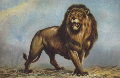 Estudio para león en Trafalgar Square por Landseer, National Gallery, Londres de Edwin (after) Landseer