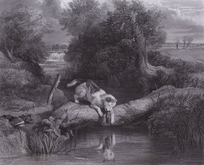 El perro y la sombra de Edwin (after) Landseer