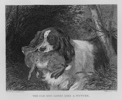 El viejo perro parece una imagen de Edwin (after) Landseer