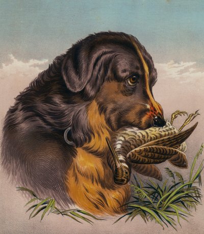 El Retriever (litografía en color) de Edwin (after) Landseer